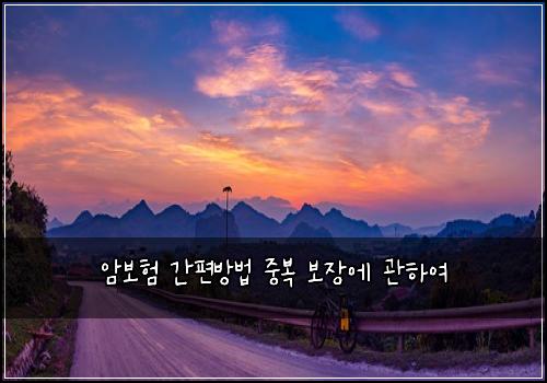 암보험 간편방법  중복 보장에 관하여