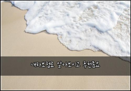 내차보험료 알아보시고 추천좀요