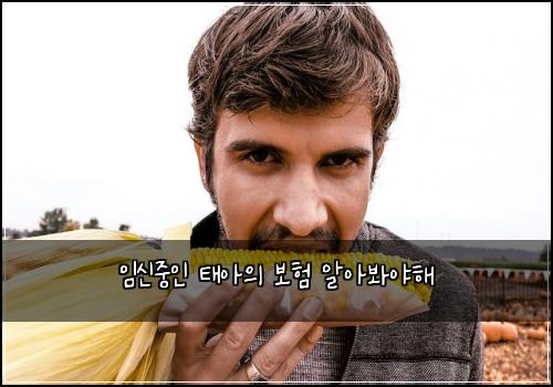 임신중인 태아의 보험 알아봐야해 