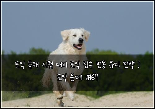 토익 독해 시험 대비 토익 점수 변동 유지 전략 : 토익 문제 #167