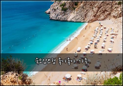 숙모암보험 좋다좋아  가족
