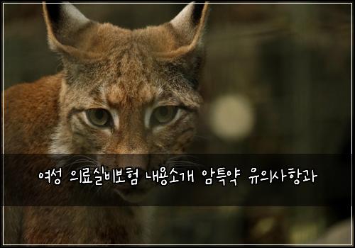 여성 의료실비보험 내용소개  암특약 유의사항과