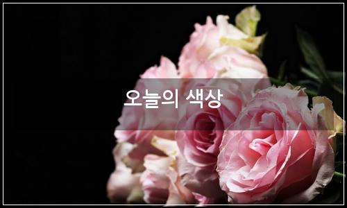 오늘의 이미지