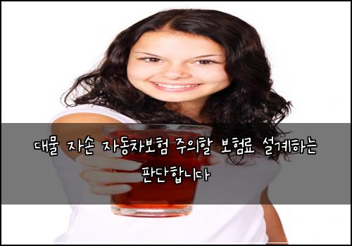 대물 자손 자동차보험 주의할 보험료 설계하는 판단합니다