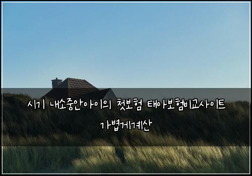 시기 내소중안아이의 첫보험 태아보험비교사이트 가볍게계산