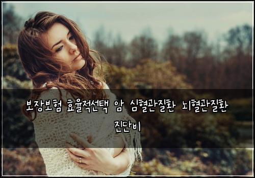 ๋ณด์ฅ๋ณดํ ํจ์จ์ ์ ํ ์ ์ฌํ๊ด์งํ ๋ํ๊ด์งํ ์ง๋จ๋น