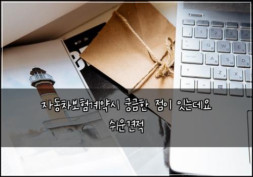 ์๋์ฐจ๋ณดํ๊ณ์ฝ์ ๊ถ๊ธํ ์ ์ด ์๋๋ฐ์ ์ฌ์ด๊ฒฌ์ 
