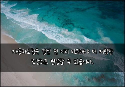 오늘의 이미지