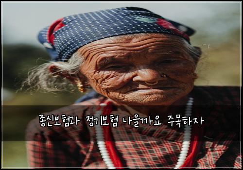 종신보험과 정기보험 나을까요 주목하자