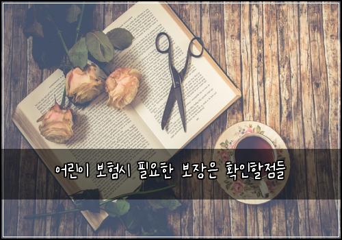 ์ด๋ฆฐ์ด ๋ณดํ์ ํ์ํ ๋ณด์ฅ์ ํ์ธํ ์ ๋ค