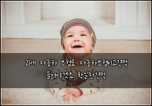 21์ธ ์๋์ฐจ ๋ณดํ๋ฃ ์๋์ฐจ๋ณดํ๋น๊ต๊ฒฌ์ ๋ค์ด์ผ๊ฒ์ฃ ํ์คํ๊ฒฌ์ 