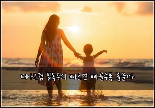 태아보험 필독주의  빠르면 빠를수록 좋을까