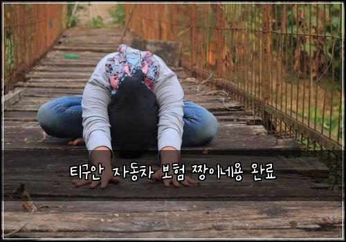 티구안 자동차 보험 짱이네용  완료