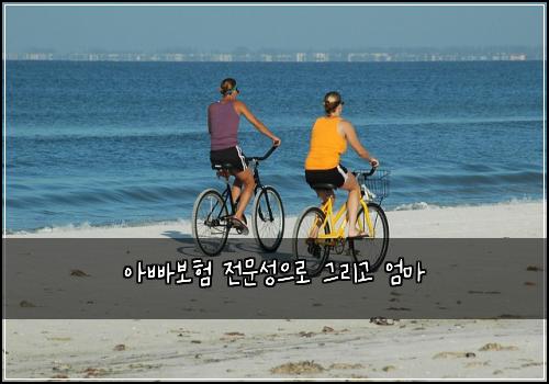 아빠보험 전문성으로  그리고 엄마