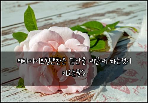 태아아이보험괜찬은 판단을 내릴때 하는것이 비교는필수