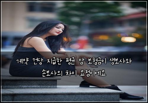 계약 건당 지급한 평균 암 보험금이 생보사와 손보사의 차이 요점이에요