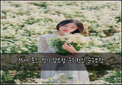 35세 종신 정기 암보험 순위확인  순수보장 