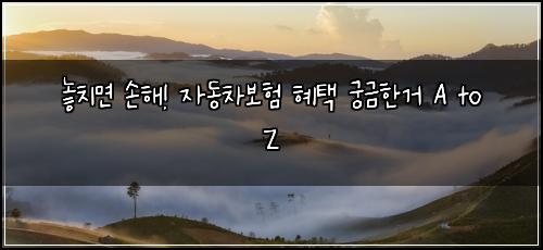  놓치면 손해! 자동차보험 혜택 궁금한거 A to Z