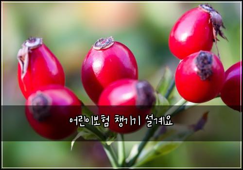 어린이보험 챙기기  설계요