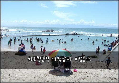 차보험견적 가격잡자 비법공개