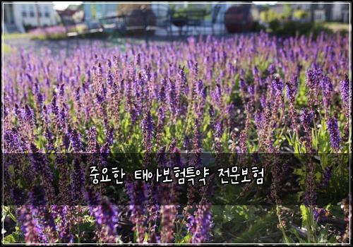 중요한 태아보험특약 전문보험