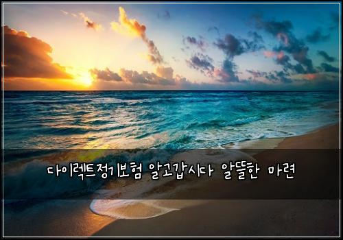 다이렉트정기보험 알고갑시다  알뜰한 마련