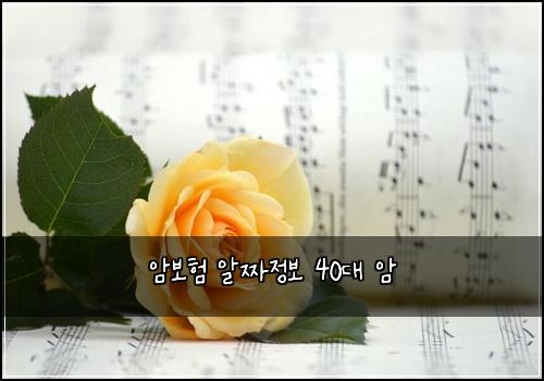 암보험 알짜정보  40대 암