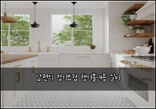 남편의 정기보험 챙겨볼내용  실비
