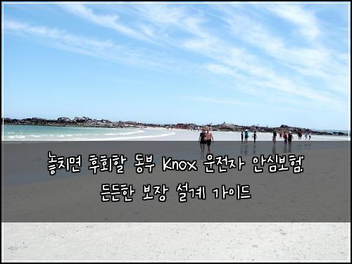  놓치면 후회할 동부 Knox 운전자 안심보험: 든든한 보장 설계 가이드
