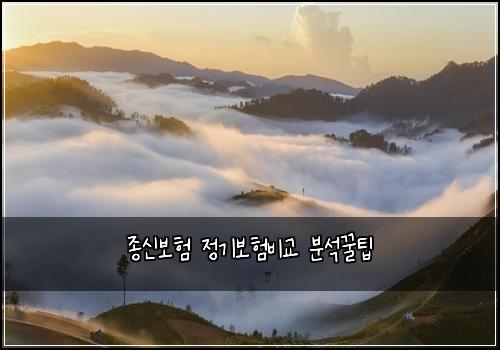 종신보험 정기보험비교 분석꿀팁