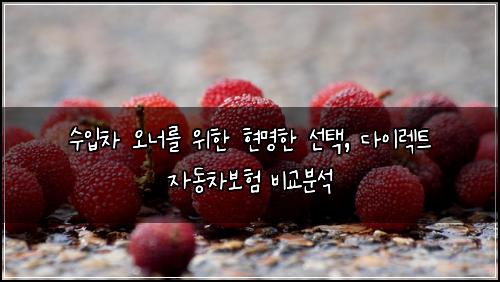 수입차 오너를 위한 현명한 선택, 다이렉트 자동차보험 비교분석