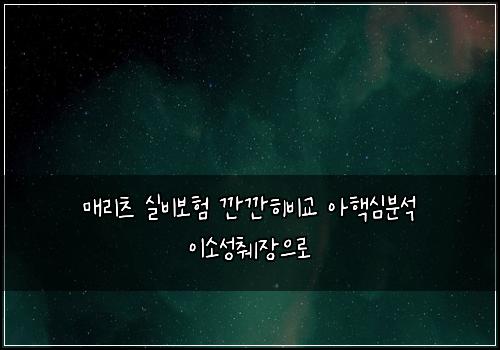 매리츠 실비보험 깐깐히비교  아핵심분석 이소성췌장으로