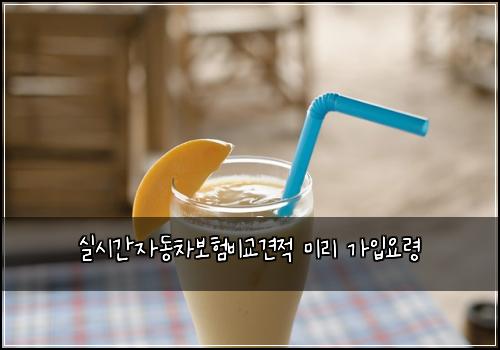 실시간자동차보험비교견적 미리 가입요령