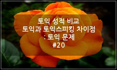 오늘의 이미지