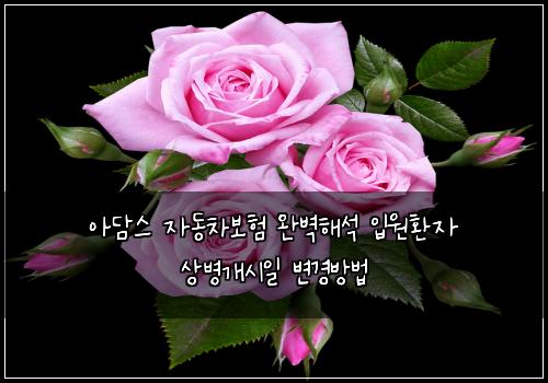 아담스 자동차보험 완벽해석  입원환자 상병개시일 변경방법