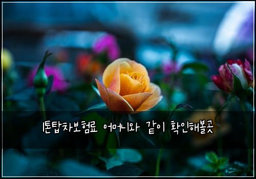 1톤탑차보험료 어머니와 같이 확인해볼곳
