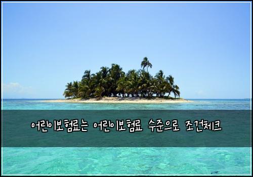 어린이보험료는 어린이보험료 수준으로 조건체크