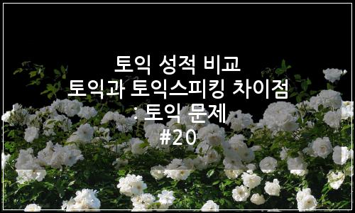 오늘의 이미지