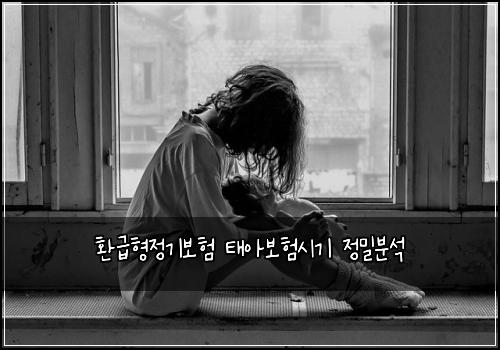 환급형정기보험 태아보험시기 정밀분석