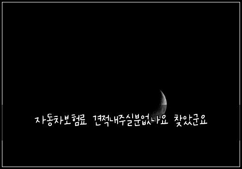 자동차보험료 견적내주실분없나요 찾았군요