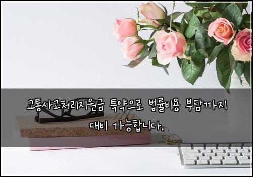 오늘의 이미지