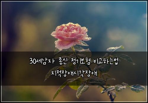 30세남자 종신 정기보험 비교하는법  지적장애시각장애