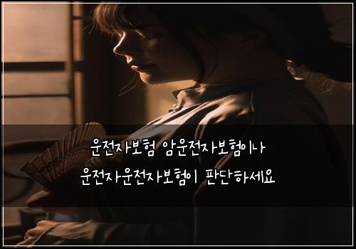 운전자보험 암운전자보험이나 운전자운전자보험이 판단하세요