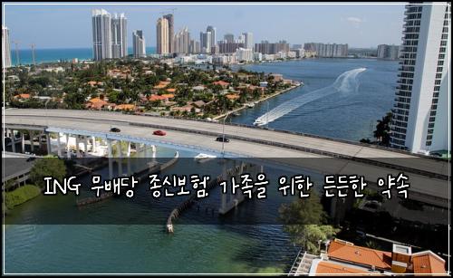 ING 무배당 종신보험: 가족을 위한 든든한 약속