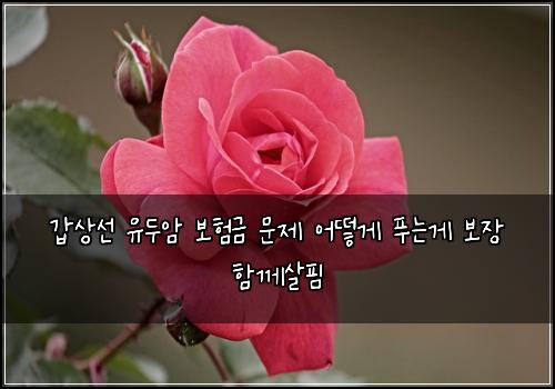 갑상선 유두암 보험금 문제 어떻게 푸는게 보장 함께살핌