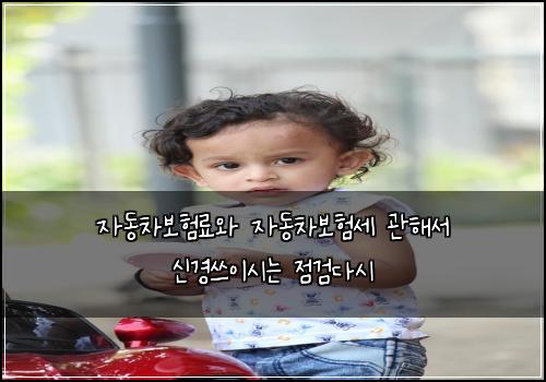 자동차보험료와 자동차보험세 관해서 신경쓰이시는 점검다시