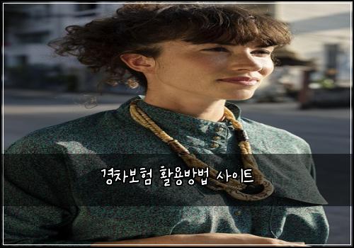 경차보험 활용방법  사이트
