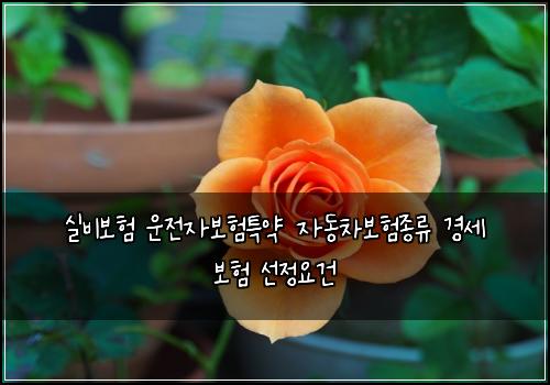 ์ค๋น๋ณดํ ์ด์ ์๋ณดํํน์ฝ ์๋์ฐจ๋ณดํ์ข
๋ฅ ๊ฒฝ์ธ ๋ณดํ ์ ์ ์๊ฑด