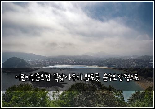 어린이실손보험 꼭알아두기  뾰로롱 순수보장형으로