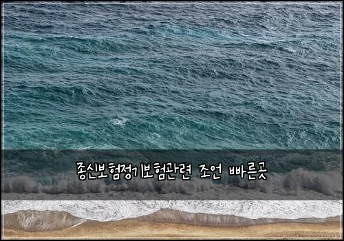 종신보험정기보험관련 조언 빠른곳